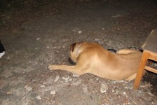 potfat_mc_912_20090715_1334206790