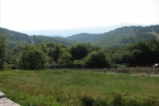 pamuka_205_20090716_2066280663