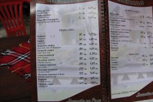 pamuka_267_20090716_1906563296