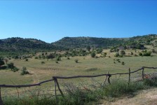 mariovo_110_20090715_1896855779