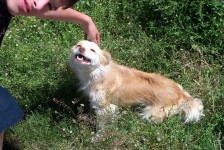 mariovo_134_20090715_1943995178
