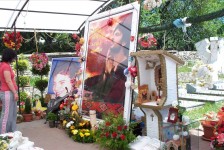 mariovo_178_20090715_1030828270