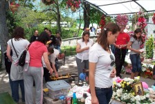 mariovo_179_20090715_1981360735