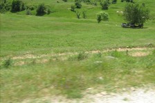 mariovo_258_20090715_1274421198