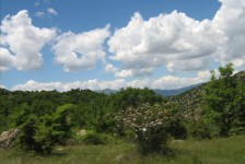 mariovo_266_20090715_1155161887