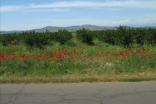 mariovo_301_20090715_1927751295