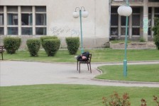 mariovo_330_20090715_2080843482