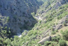 mariovo_359_20090715_1097122353