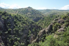 mariovo_364_20090715_1525984869