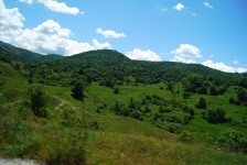 mariovo_731_20090715_1842538588