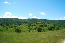 mariovo_733_20090715_1274687681
