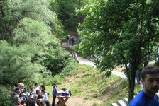 struga_119_20090715_1269527194