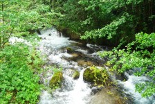 struga_1_20090715_1522715280