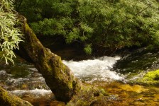 struga_627_20090715_1756781200