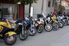 mk_bears_macedonia_284_20090807_1137063228