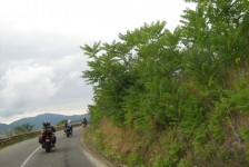 mk_osogovski_vozaci_310_20090810_1795149289