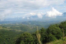 mk_osogovski_vozaci_338_20090810_1413663805