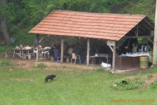 gimkana_423_20090807_1978010451