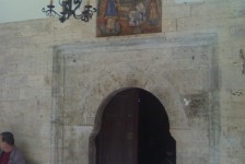 babino_4_20090807_1878018463
