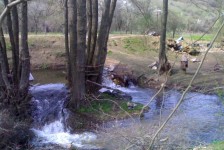 babino_4_20090807_2096170894