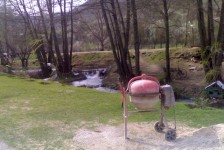babino_8_20090807_1835867589