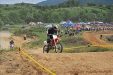bratindol_1_218_20100531_1453447323