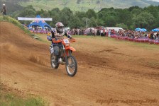 bratindol_1_278_20100531_1954414079