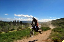 kros_orman_1_153_20100509_2093215322
