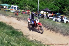 kros_orman_1_231_20100509_1899146879