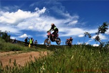 kros_orman_1_285_20100509_1675598345