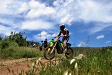 kros_orman_1_304_20100509_1039977916