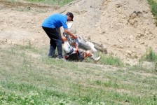 Motokros-orman-2011-110