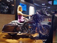 EICMA 2013: Harley Davidson