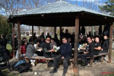 Bike Meet and Food Festival