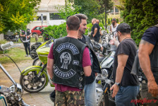 Cruise Cult - The art of cruising