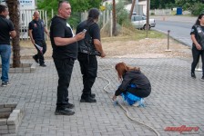 30-ти роденден Ретки Птици