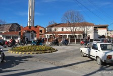 retki_ptici-58