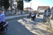 retki_ptici-71